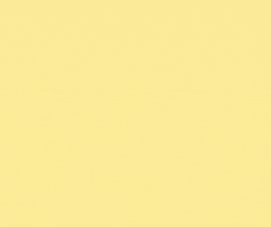 Monthly Coaching Plan